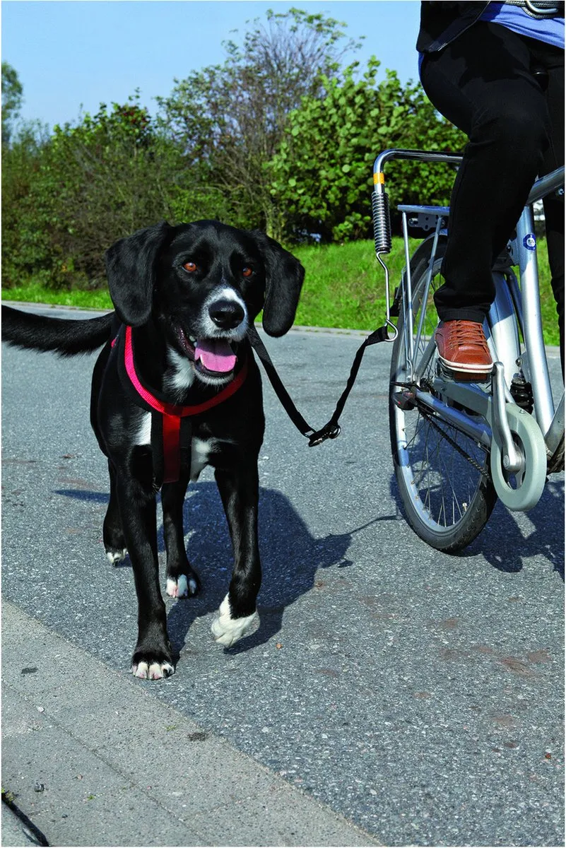 Trixie Fietsbeugel voor Honden