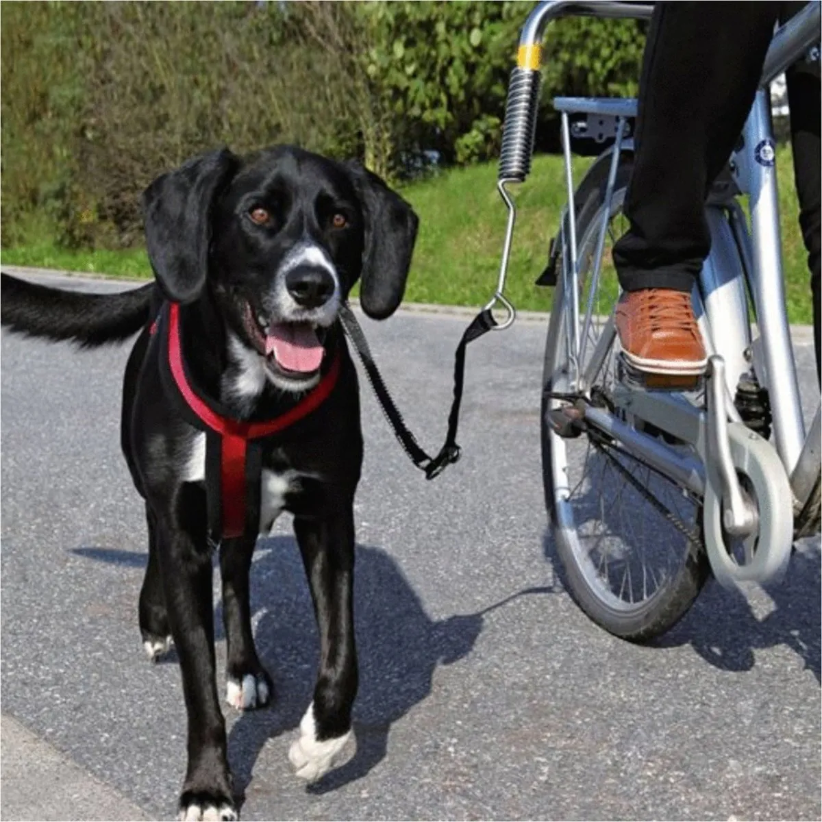 Trixie Fietsbeugel voor Honden - 1 Stuks