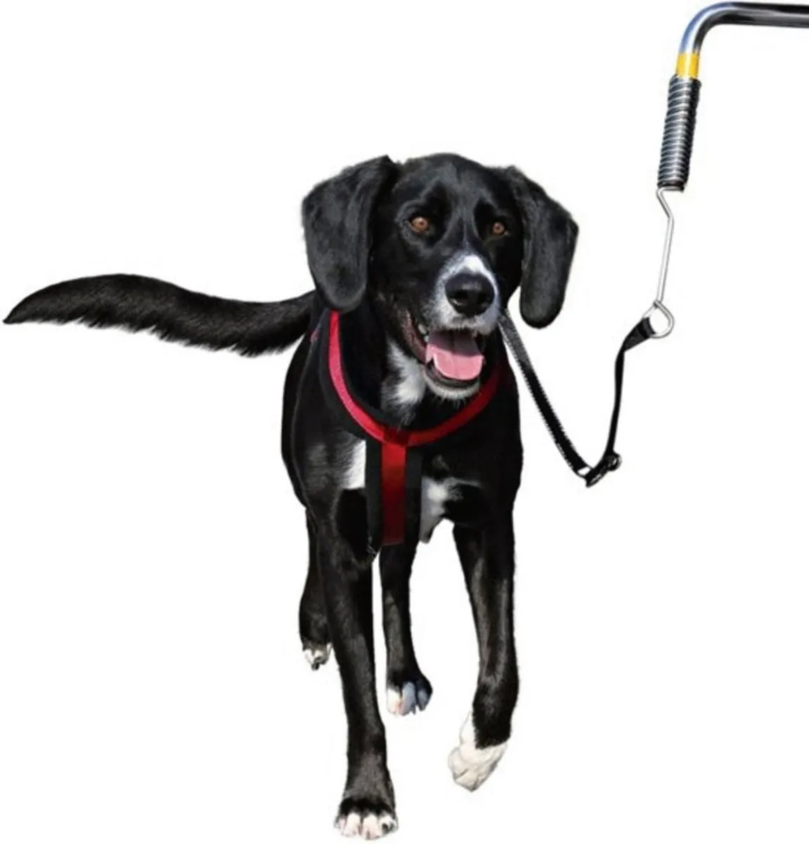 Trixie Fietsbeugel voor Honden - 1 Stuks