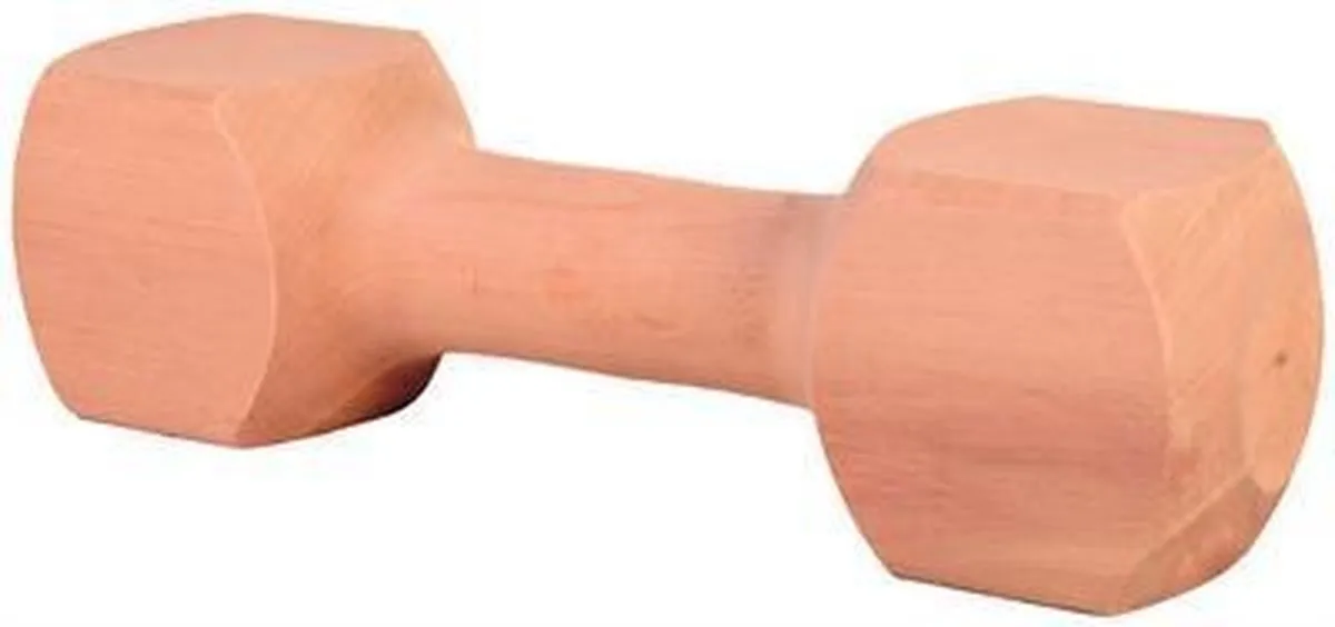 Trixie Houten Apporteerblok Gehoekt 650g - Naturel