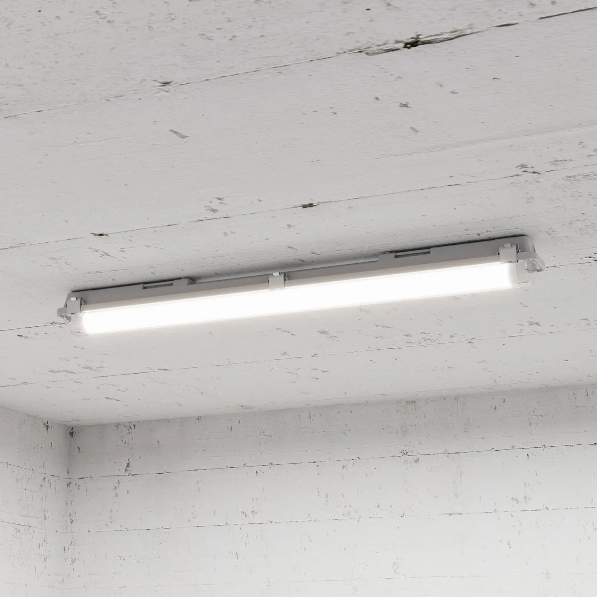 LEDVION 25X TL Buis 60cm 9W 6500K - 25 Stuks
