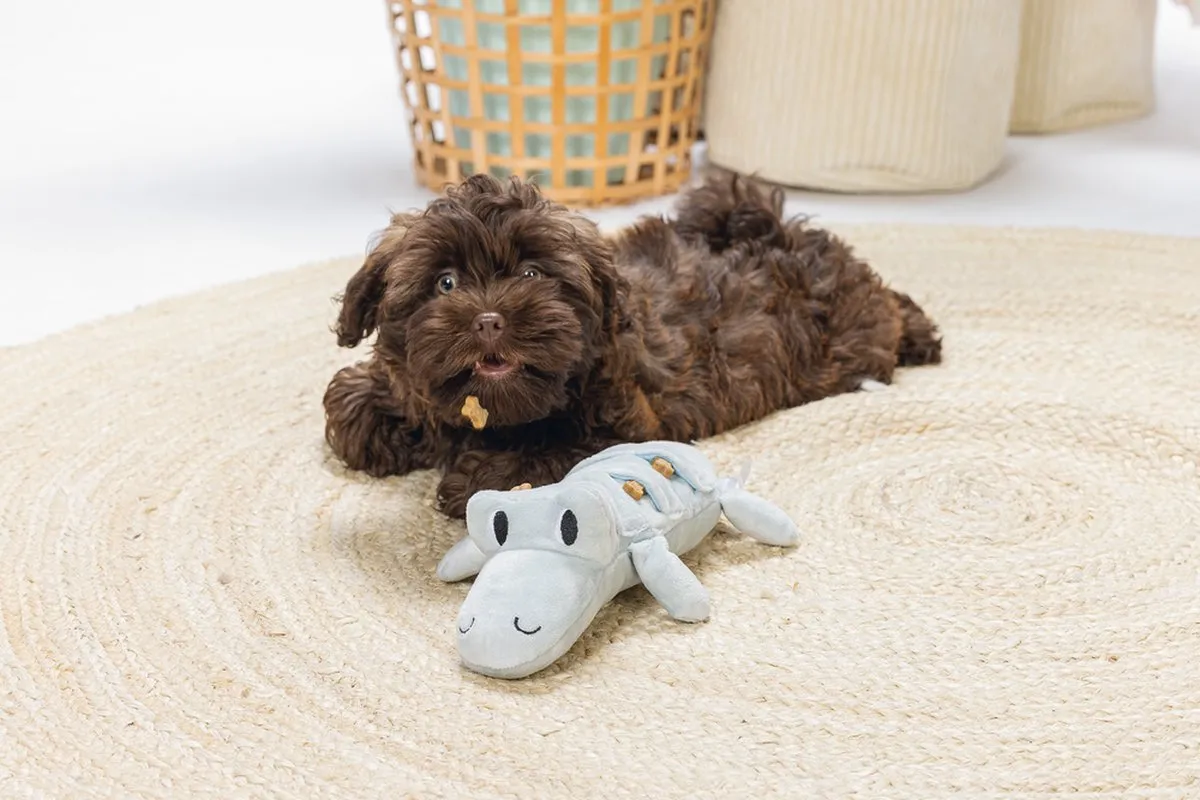 Beeztees Puppy Krokodil Jake Hondenspeelgoed - 32x18x8cm Groen