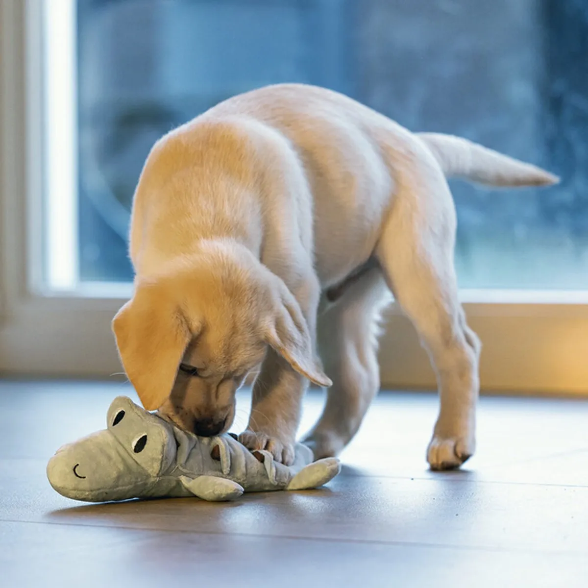 Beeztees Puppy Krokodil Jake Hondenspeelgoed - 32x18x8cm Groen - afbeelding 6 van 6