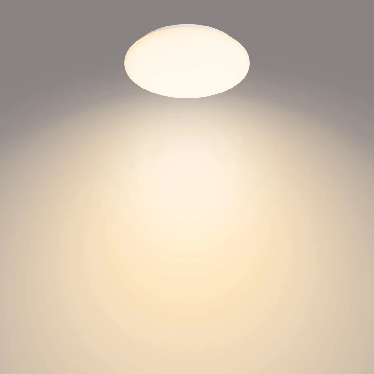 Philips Moire Plafondlamp 2700K - 25cm Wit