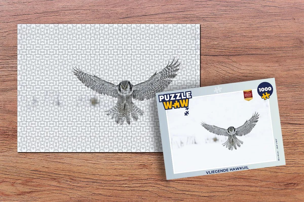 PuzzleWow Vliegende Hawkuil Legpuzzel 1000 Stuks - Multicolor