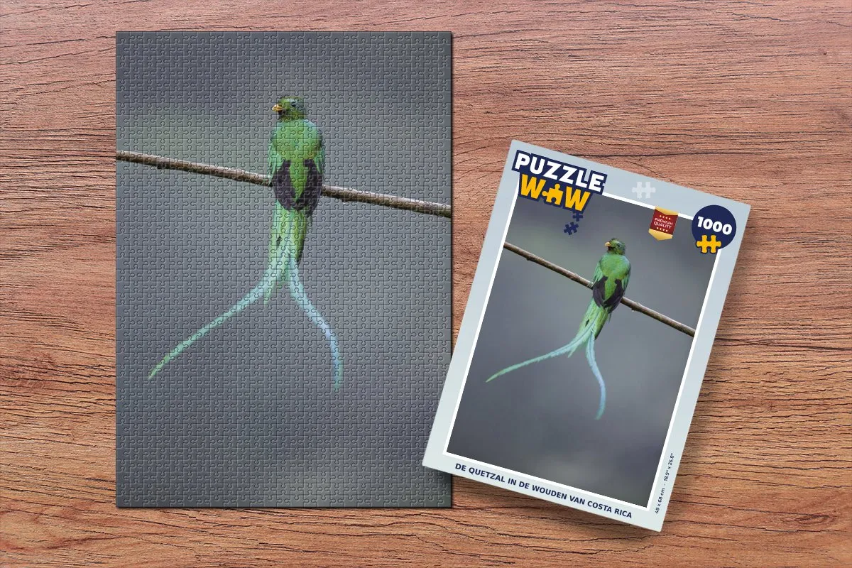 PuzzleWow De quetzal in de wouden van Costa Rica Legpuzzel 1000 Stuks