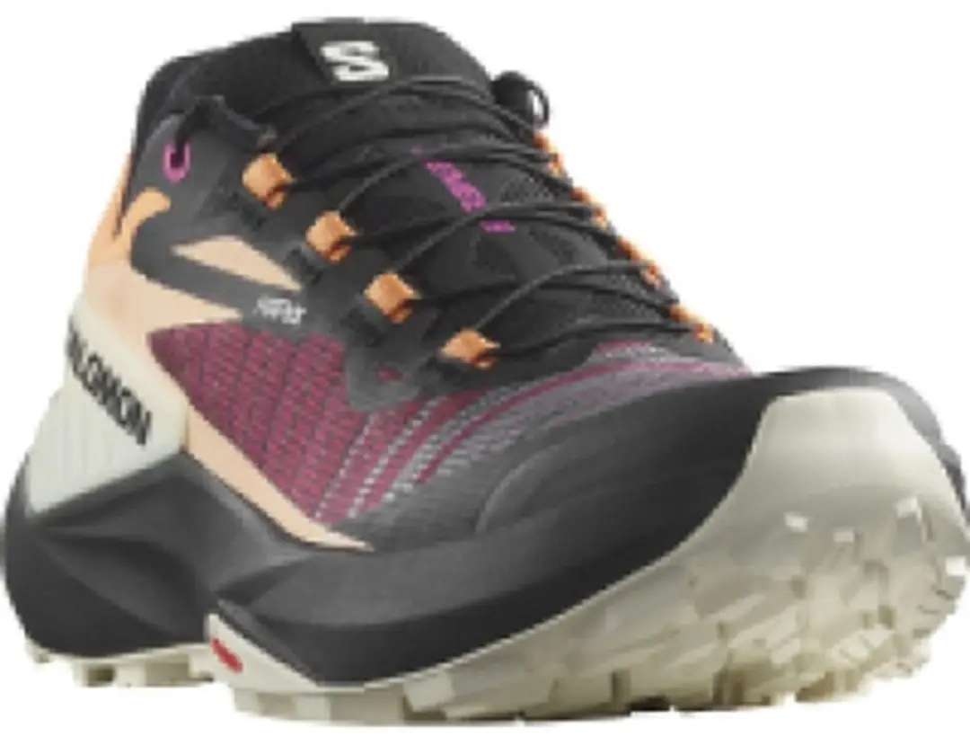 Salomon GENESIS W