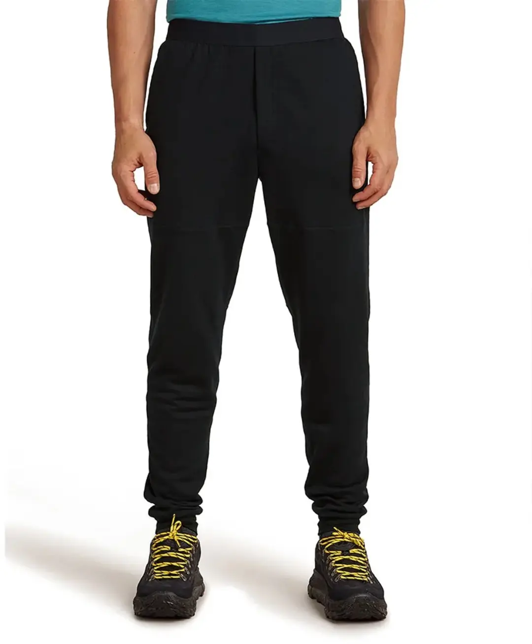 Icebreaker 300 Real Descender Joggers Zwart L Man