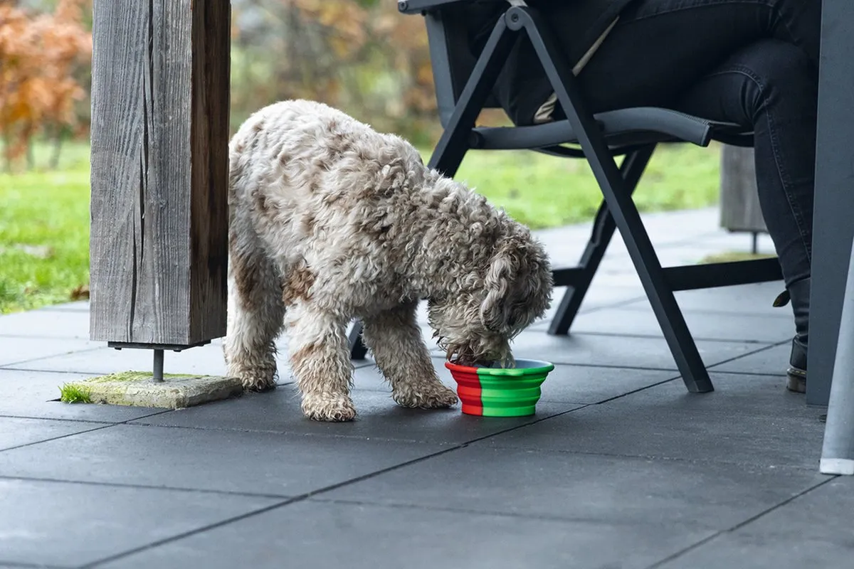 Beeztees Rua Reisbak Hond Silicone - 750ml - Groen
