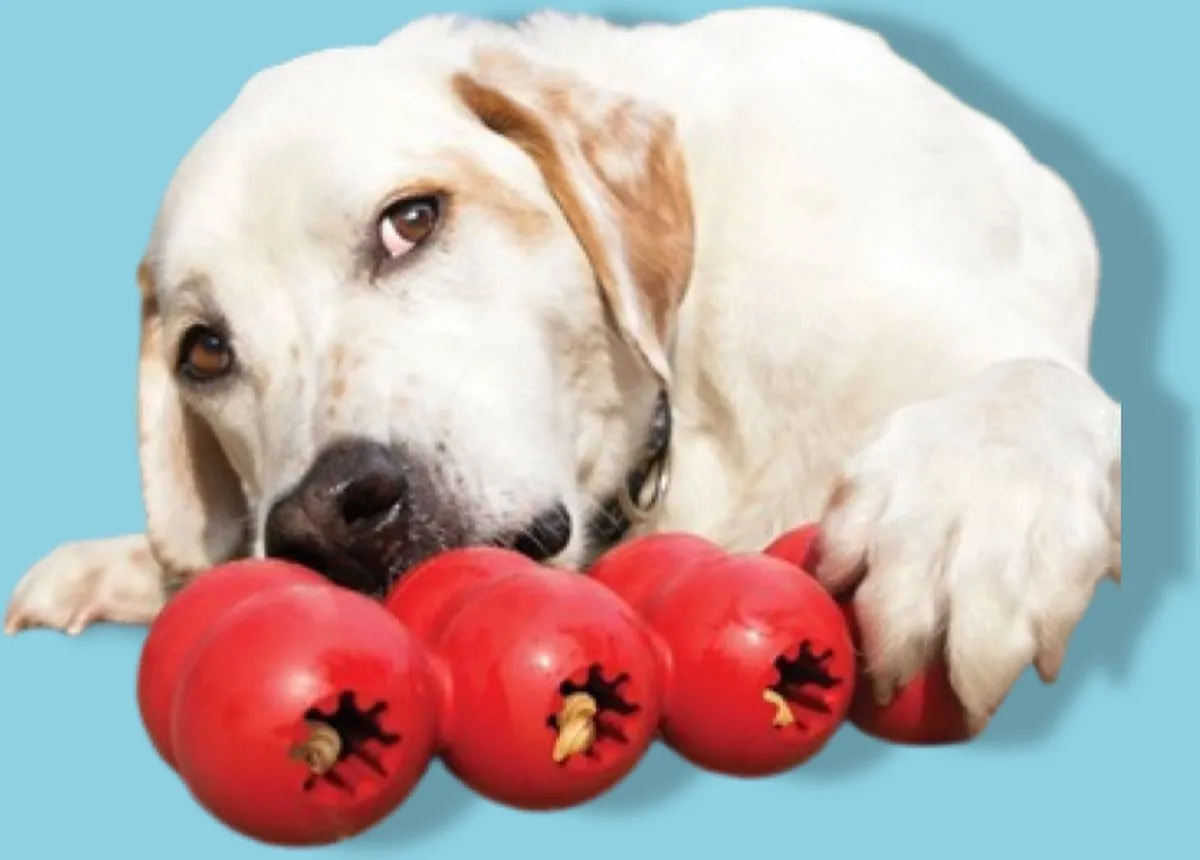 KONG Goodie Ribbon Medium - Rood - afbeelding 6 van 6