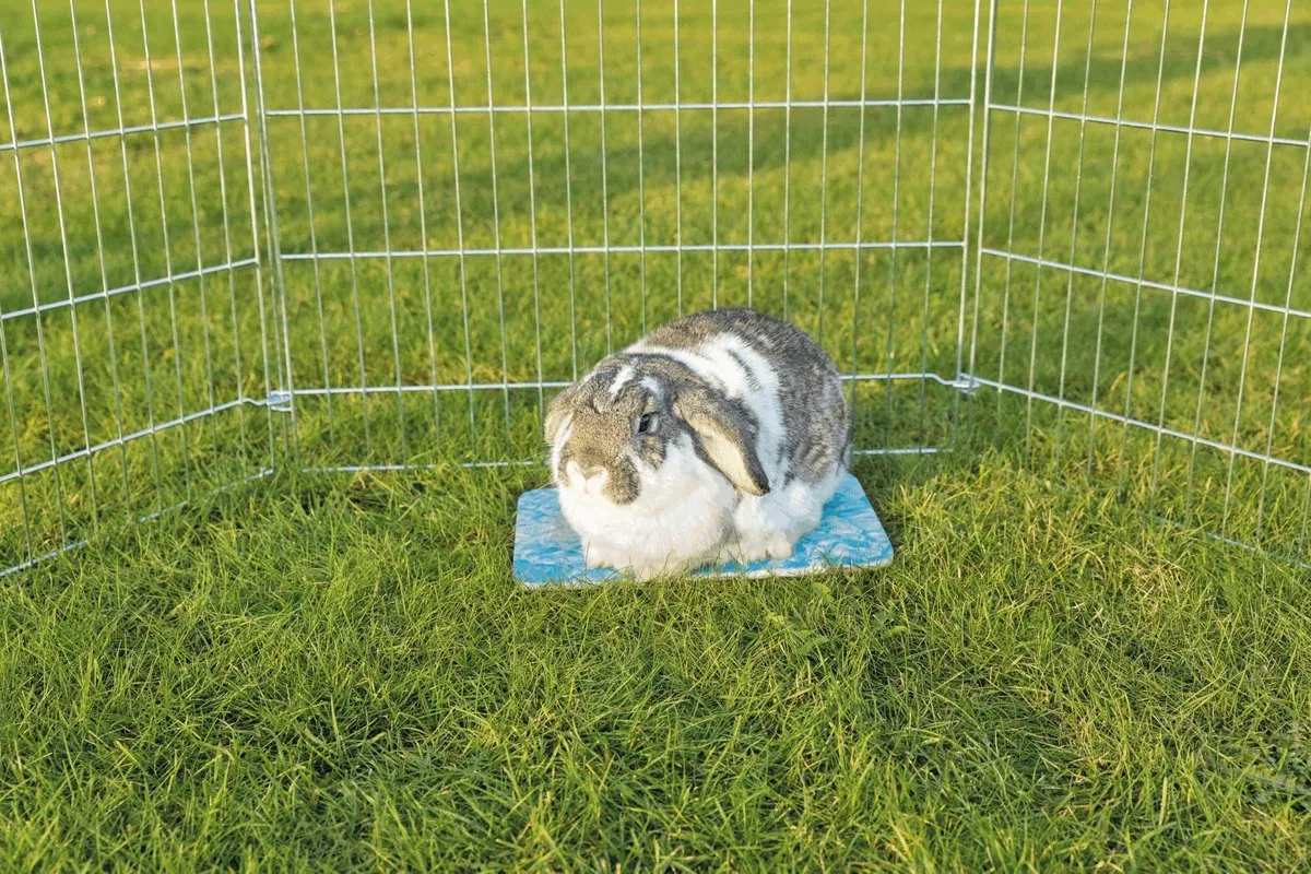 Trixie Koelplaat Kleine Dieren 28x20cm - Blauw