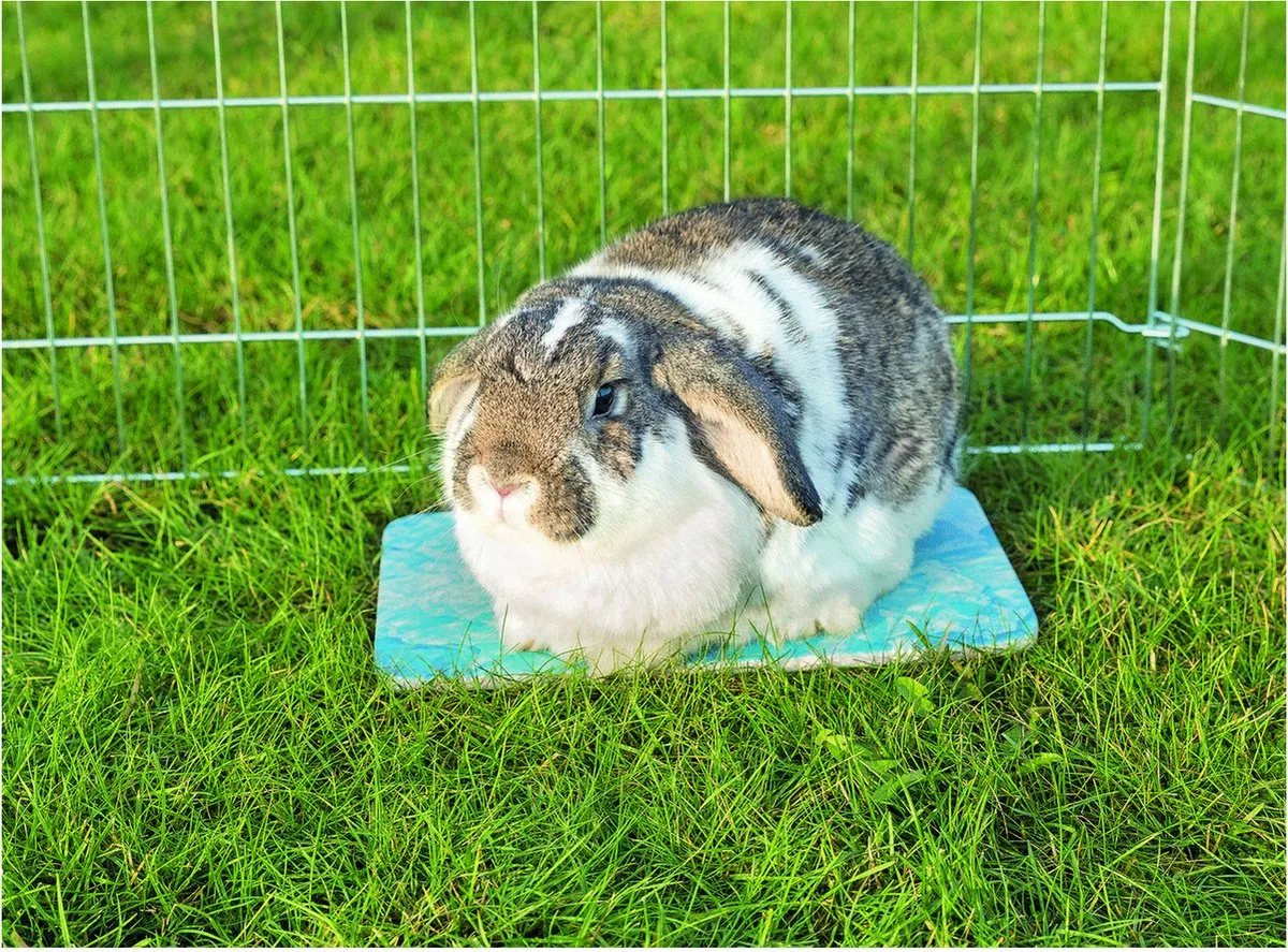 Trixie Koelplaat Kleine Dieren 28x20cm - Blauw