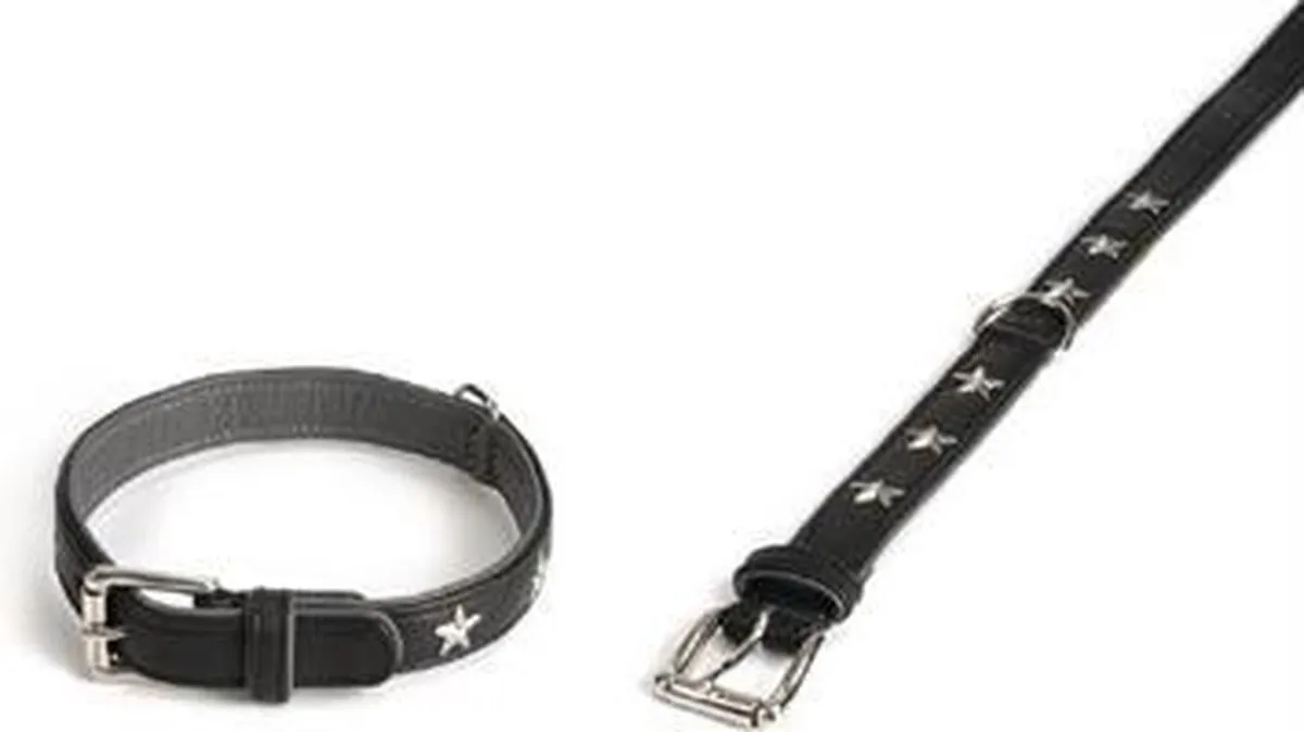 Beeztees Stars Hondenhalsband