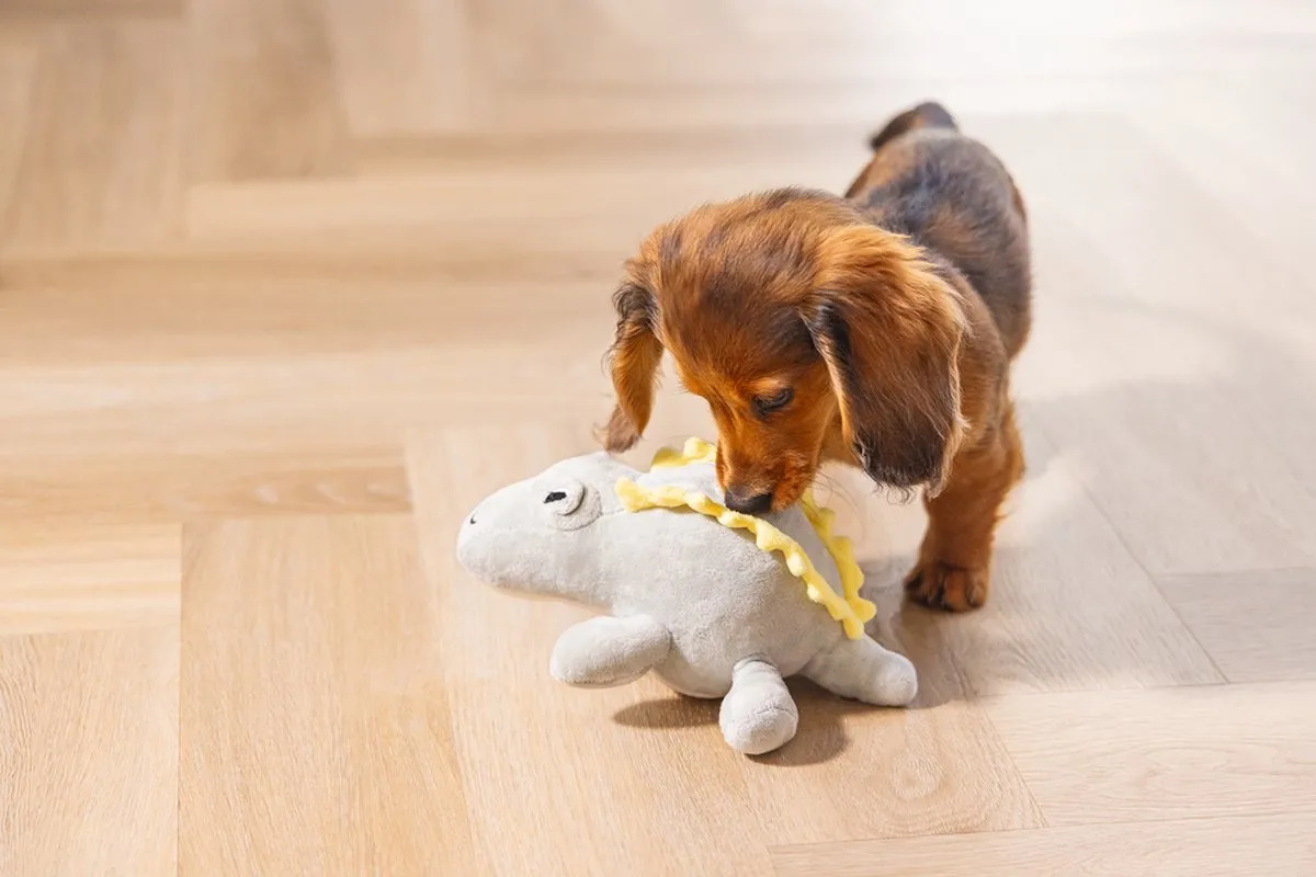 Beeztees Vince Dinosaurus Knuffel - Groen