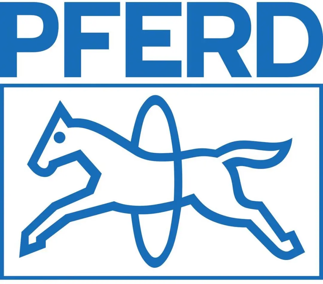 Pferd COMBIDISC Slijpbladhouder 75mm - afbeelding 3 van 4