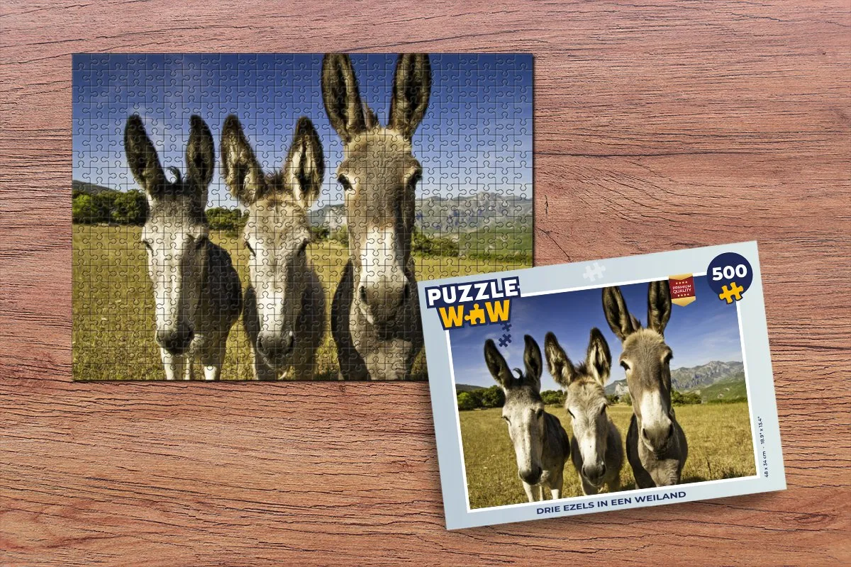 PuzzleWow Legpuzzel Drie ezels in een weiland 500 Stuks