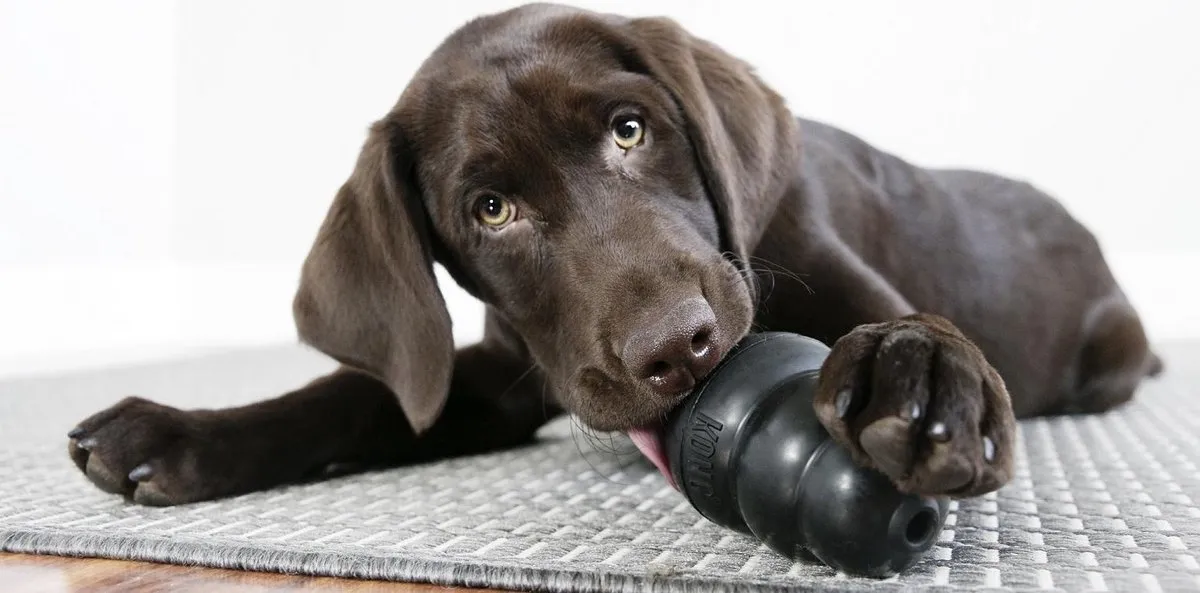 KONG Extreme Honden Speelgoed - Zwart L - 13 tot 30 kg