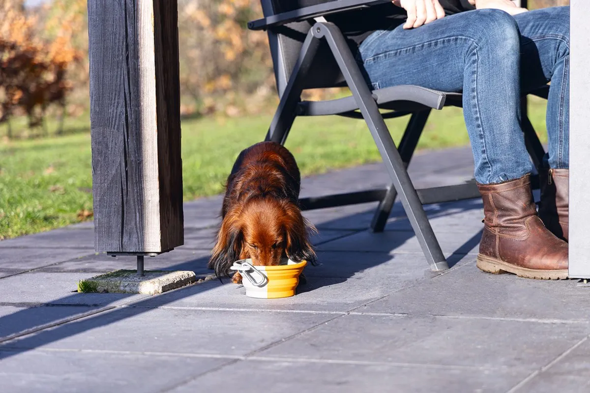 Beeztees Rua Reisbak Hond - Silicone Oranje 750ml