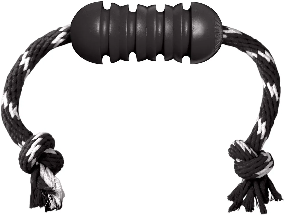 KONG Exterme Dental Touw