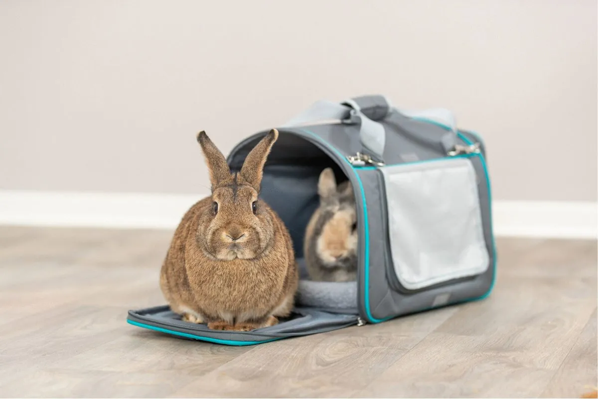 Trixie Woon- en Transporttas Hond - 40x27x28cm - Grijs