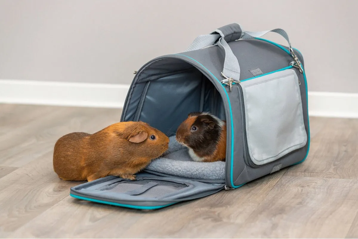 Trixie Woon- en Transporttas Hond - 40x27x28cm - Grijs - afbeelding 6 van 6