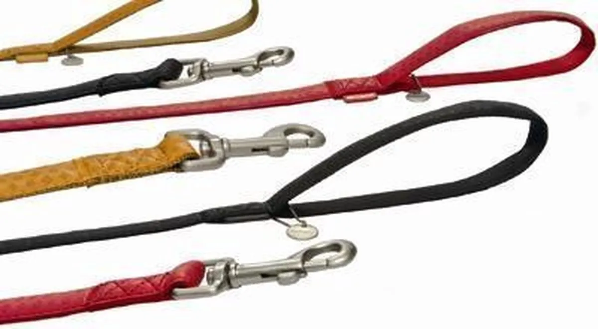 Beeztees Mac Leather Hondenriem - Rood - 120cm x 25mm