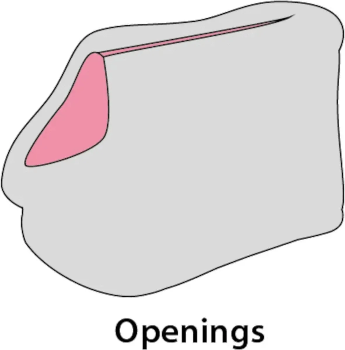 Flamingo Esmee Hondentas - 52 cm - Grijs - tot 5 kg - afbeelding 6 van 6