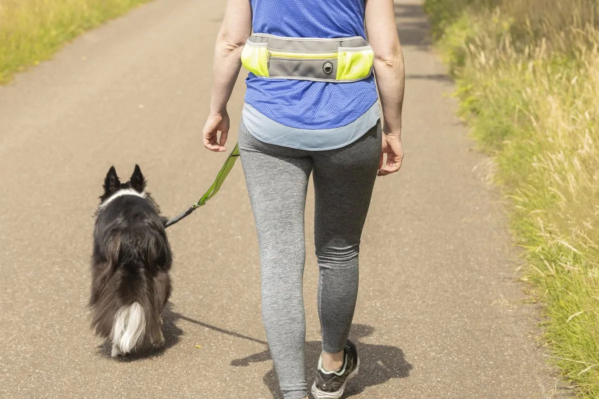 Flamingo Rono Fluo Geel Hardloopriem Hond - Handsfree