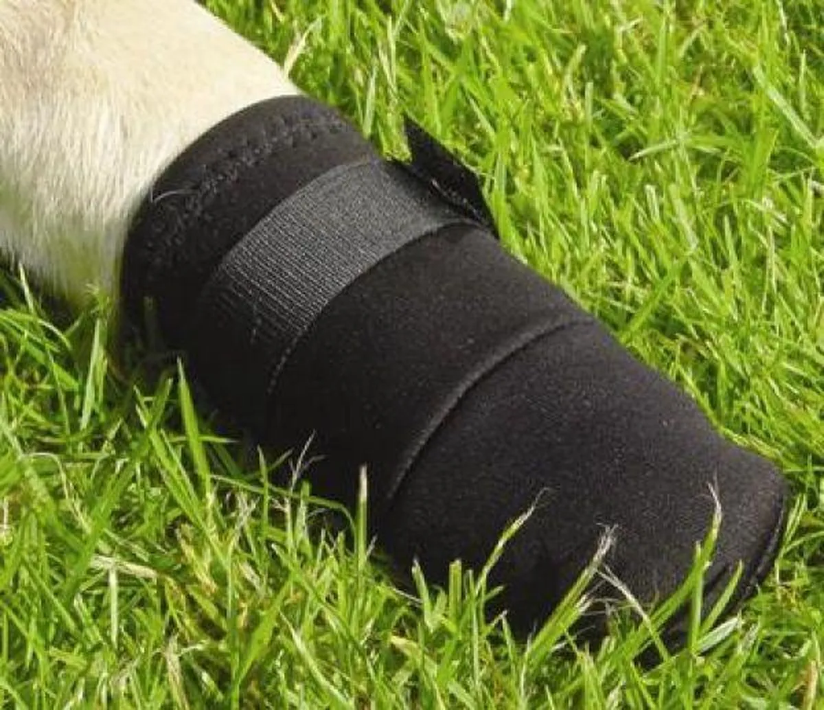 Beeztees Beschermingsschoen Hond M