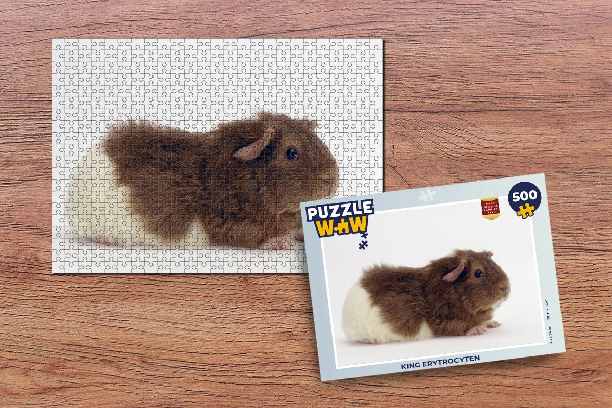 PuzzleWow Legpuzzel 500 Stuks - Multicolor