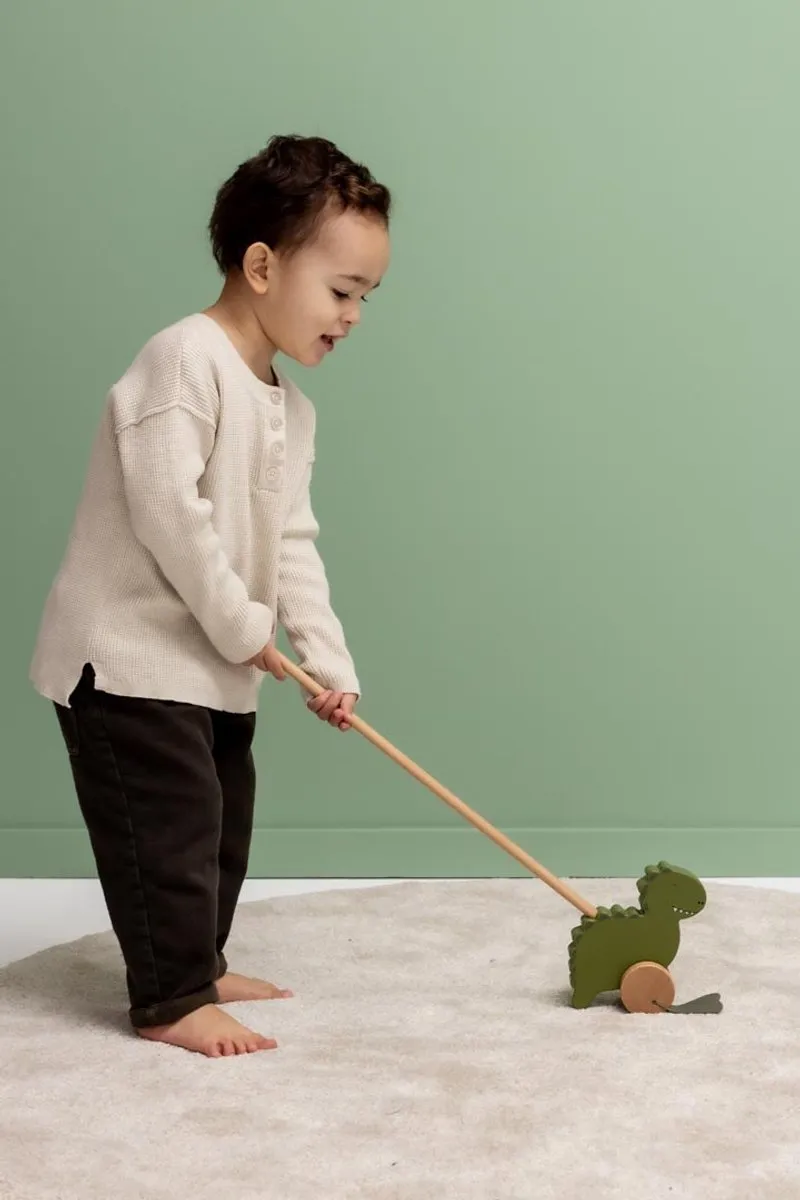 Trixie Houten Duwstok Mr. Dino - Groen