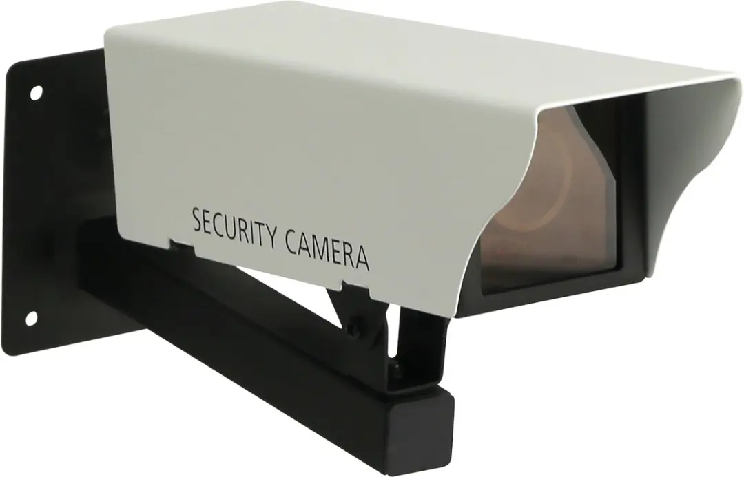 SMARTWARES CS11DFR Dummy camera 10.048.01
