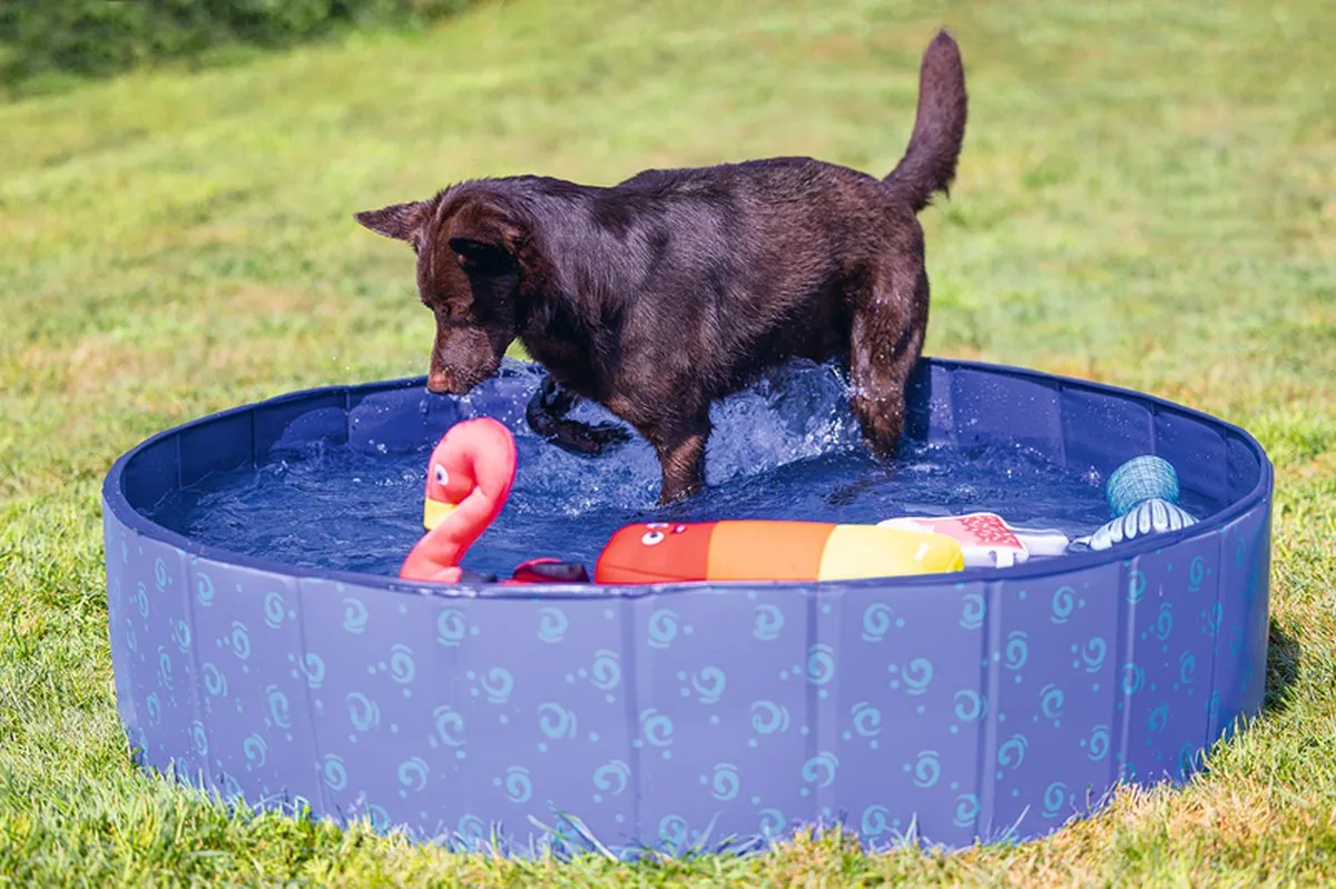 Beeztees Doggy Dip Hondenzwembad 120x30cm - Blauw