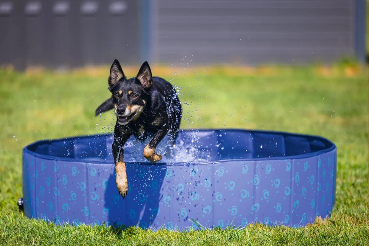 Beeztees Doggy Dip Hondenzwembad 120x30cm - Blauw