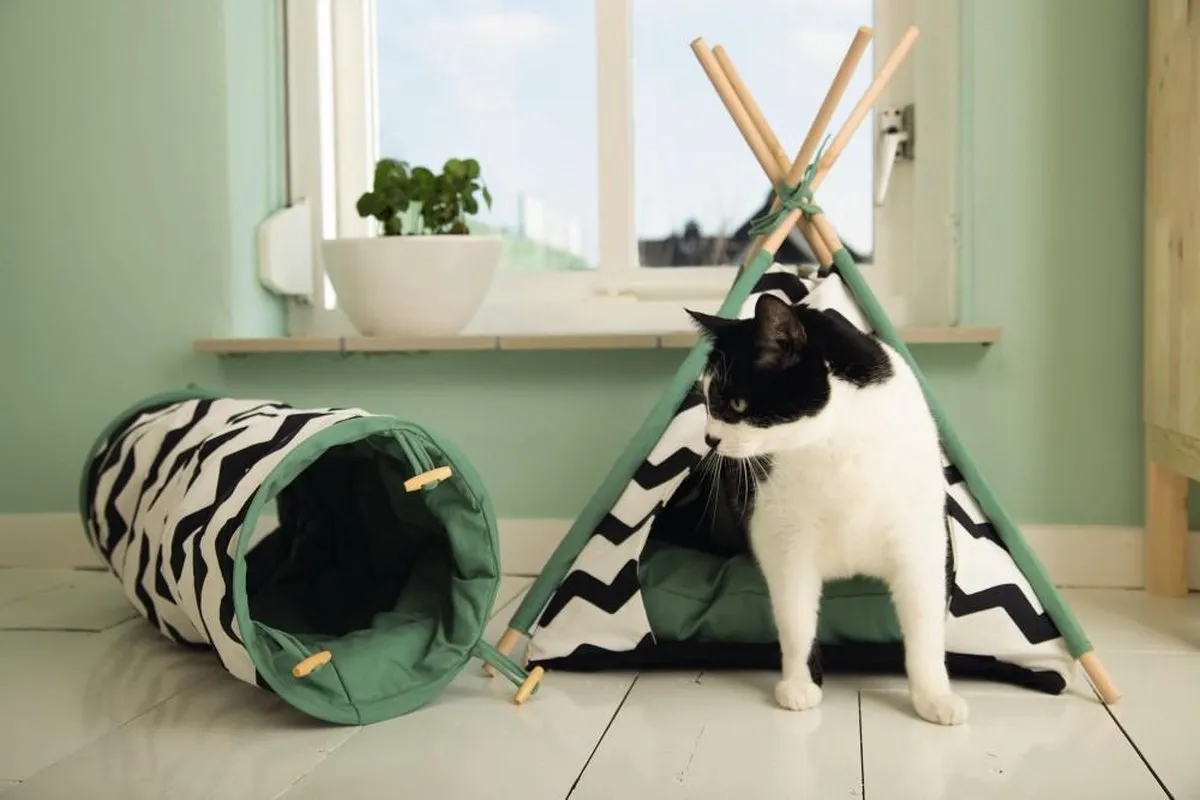 Beeztees Kioni Tipi Kattenhuis - 50x50x70cm - Zwart/Wit - afbeelding 6 van 6