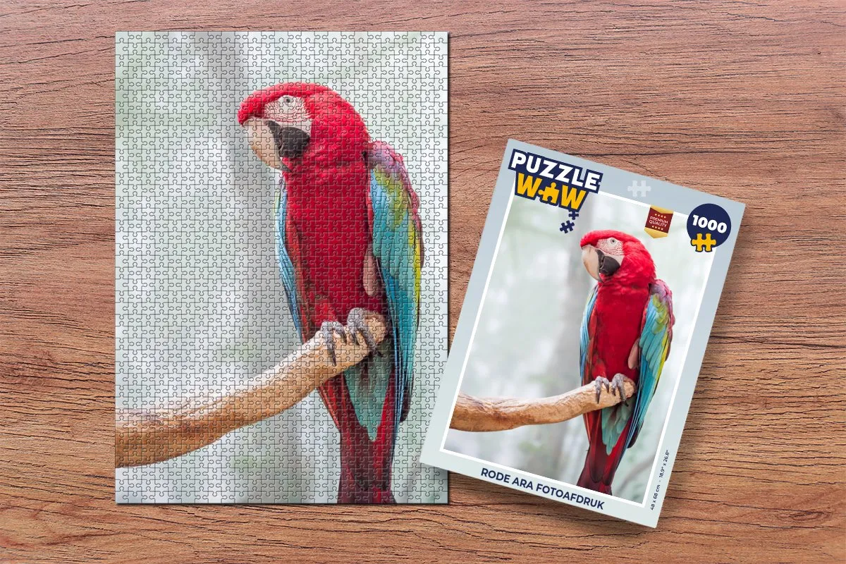 PuzzleWow Legpuzzel Rode ara 1000 Stuks - Multicolor