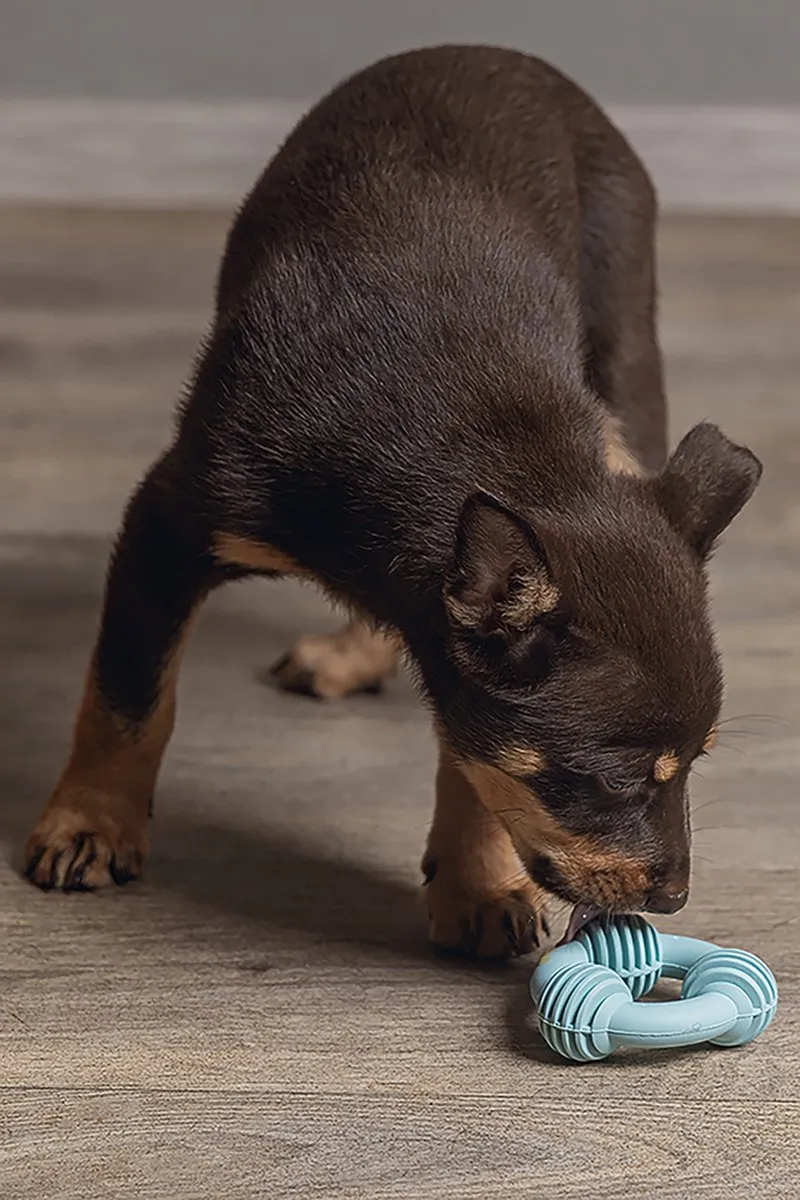 Beeztees Puppy Dental Ring Groen