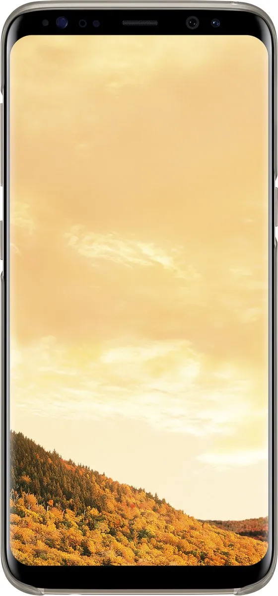 Samsung Clear Cover Goud EF-QG950CFEGWW - Galaxy S8