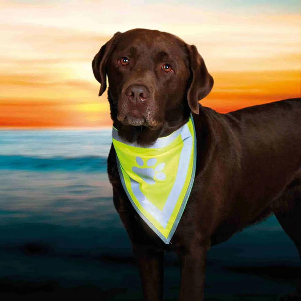Trixie Reflecterende Bandana Geel - Hondenkleding S/M - afbeelding 5 van 6