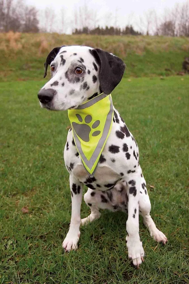 Trixie Reflecterende Bandana Geel - Hondenkleding S/M - afbeelding 6 van 6