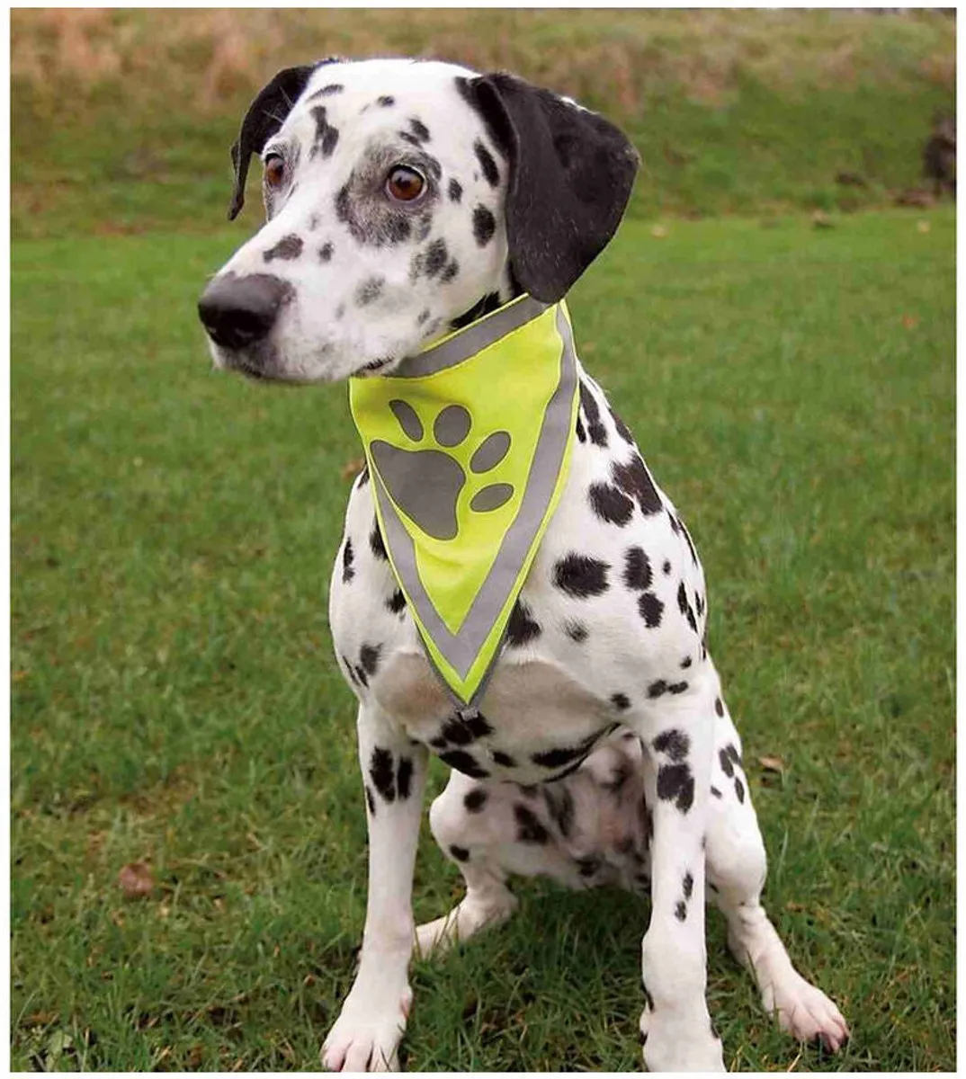 Trixie Reflecterende Bandana Geel - Hondenkleding S/M - afbeelding 3 van 6