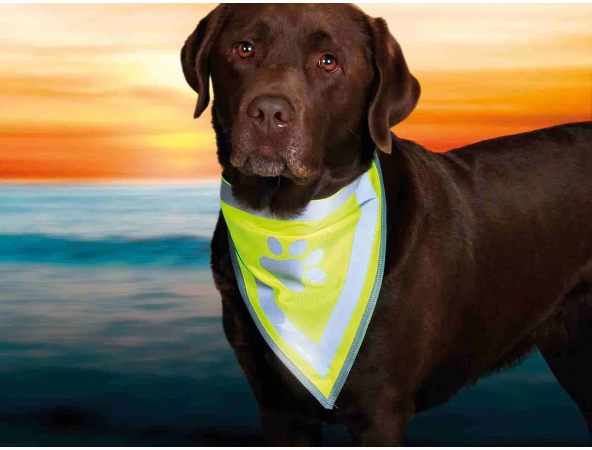 Trixie Reflecterende Bandana Geel - Hondenkleding S/M - afbeelding 4 van 6