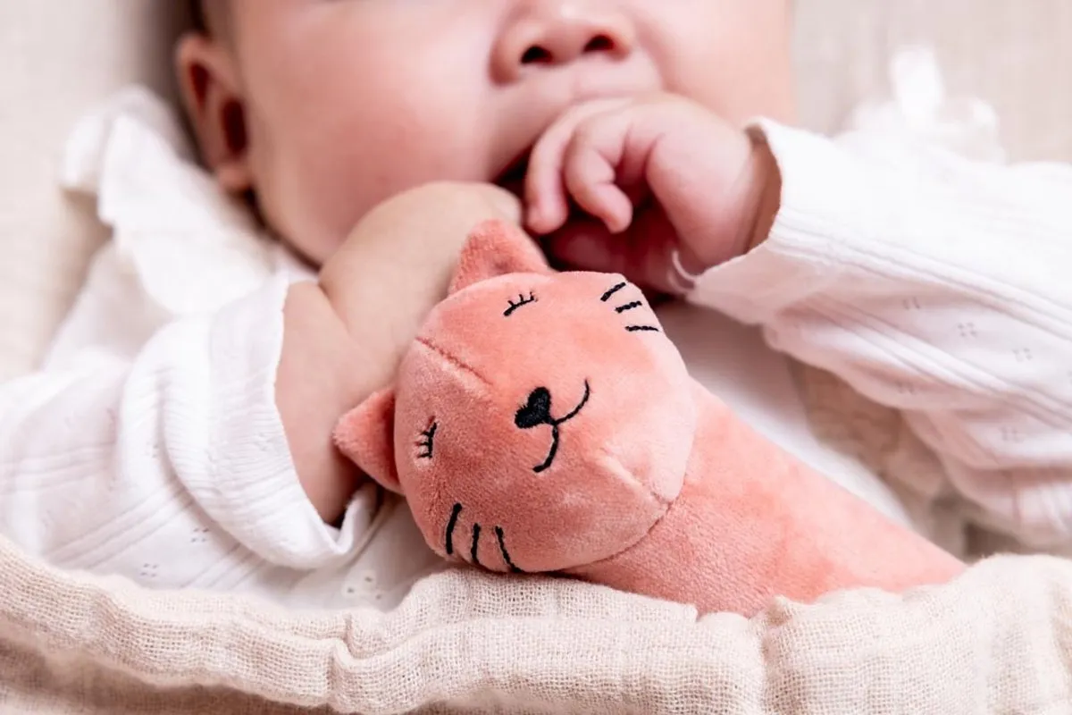 Trixie Baby Knijprammelaar Mrs. Cat - Roze