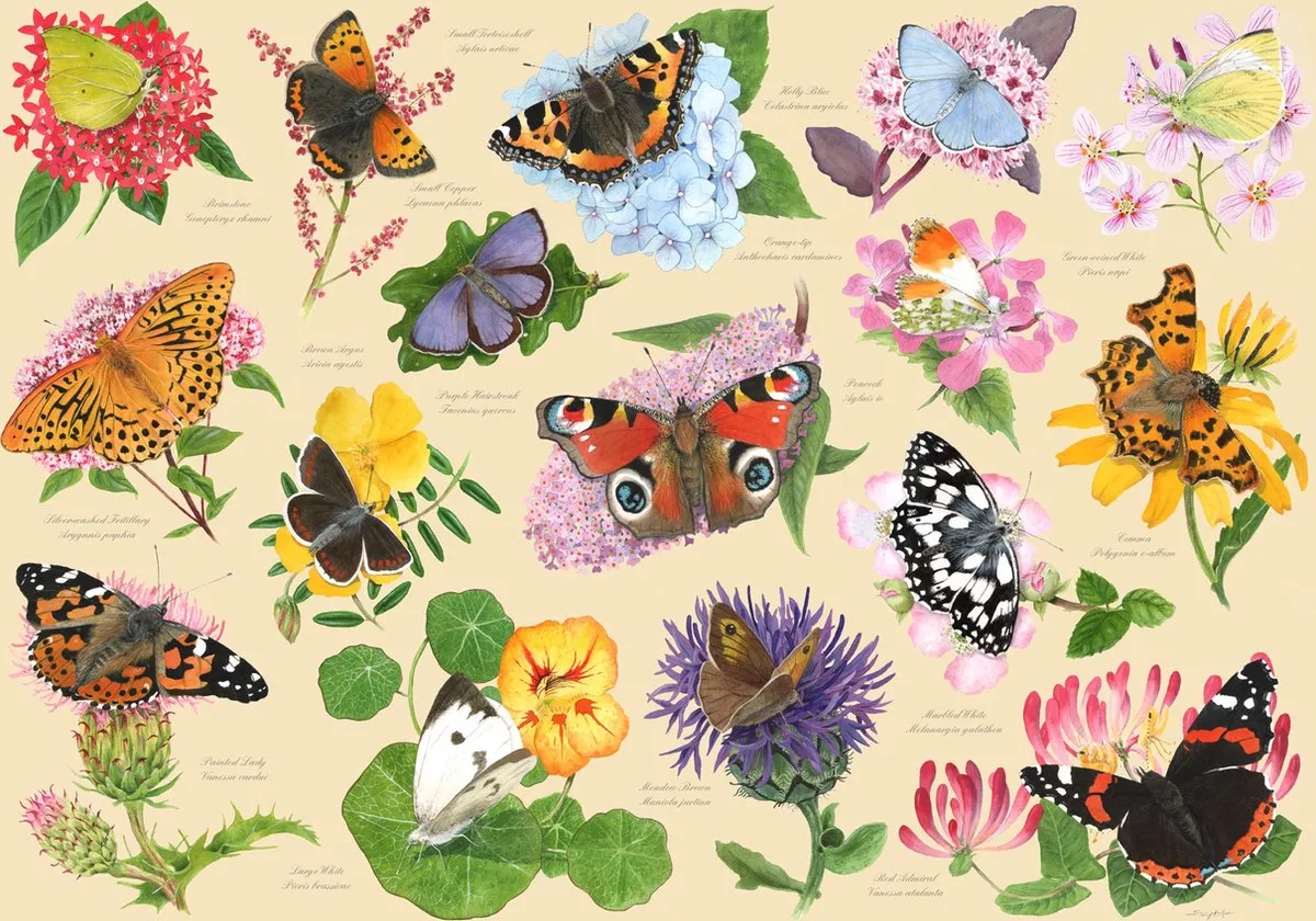 House Of Puzzles Garden Butterflies Legpuzzel 1000 Stukjes - HP0530 - Multicolor