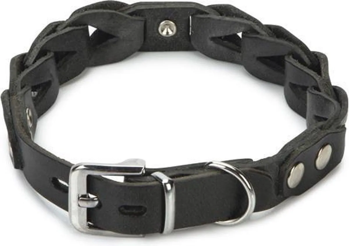 Beeztees Leren Halsband Connex 45cm x 20mm
