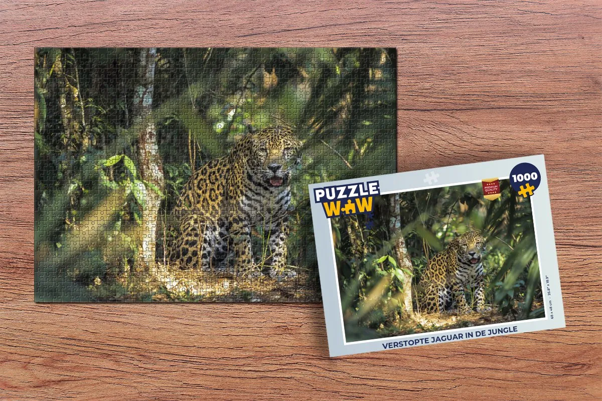 PuzzleWow Legpuzzel 1000 Stuks - Multicolor