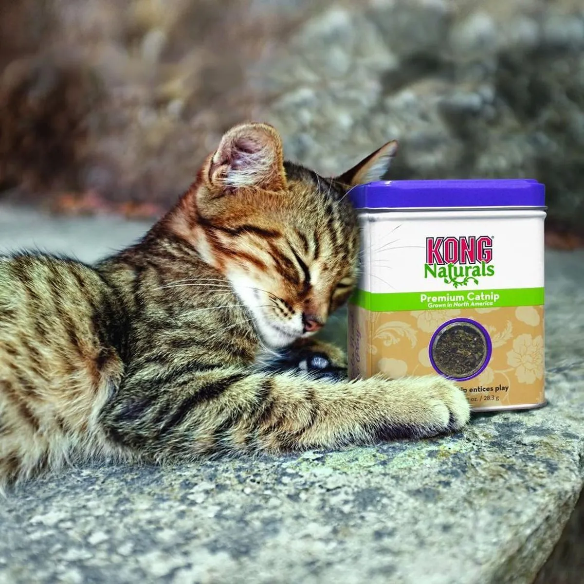 KONG Naturals Kattenkruid Navulling 28.3g