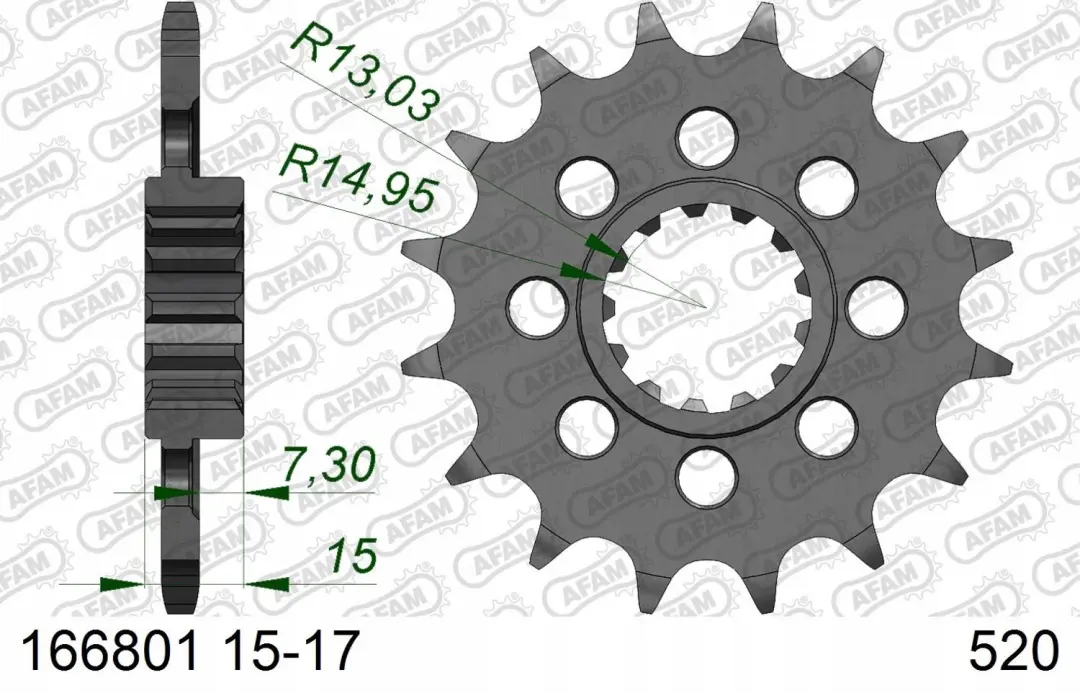 Afam 520 S 1000RR Tandwiel 16T