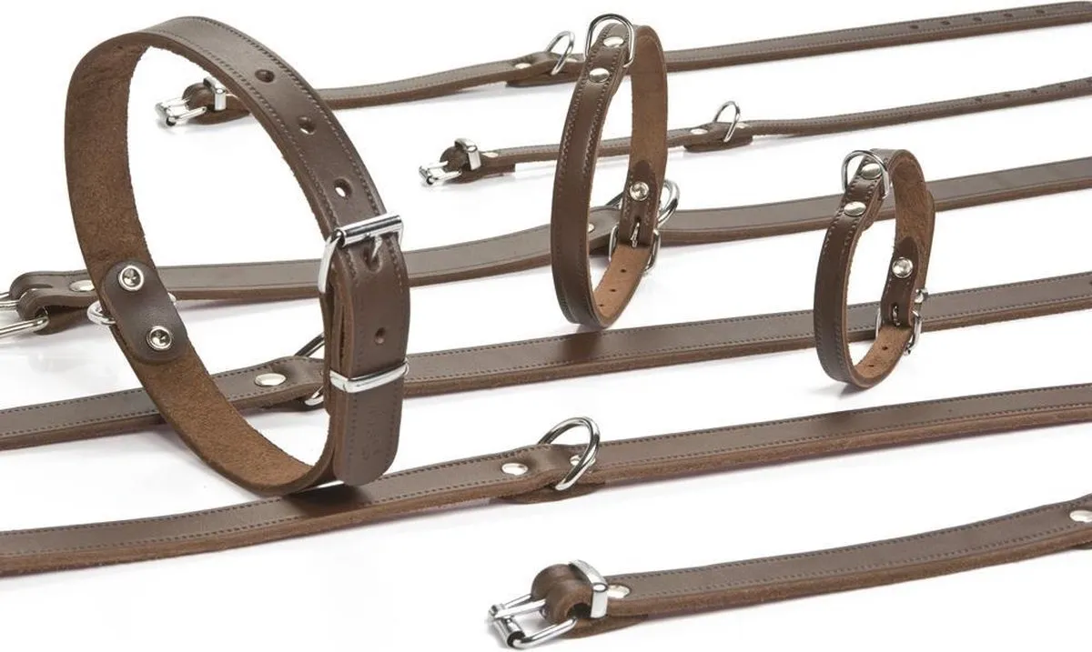 Beeztees Halsband Hond Leer Bruin 37,5-46,5cm x 20mm