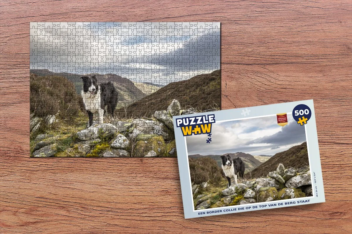 PuzzleWow Border Collie Bergpuzzel 500 Stuks
